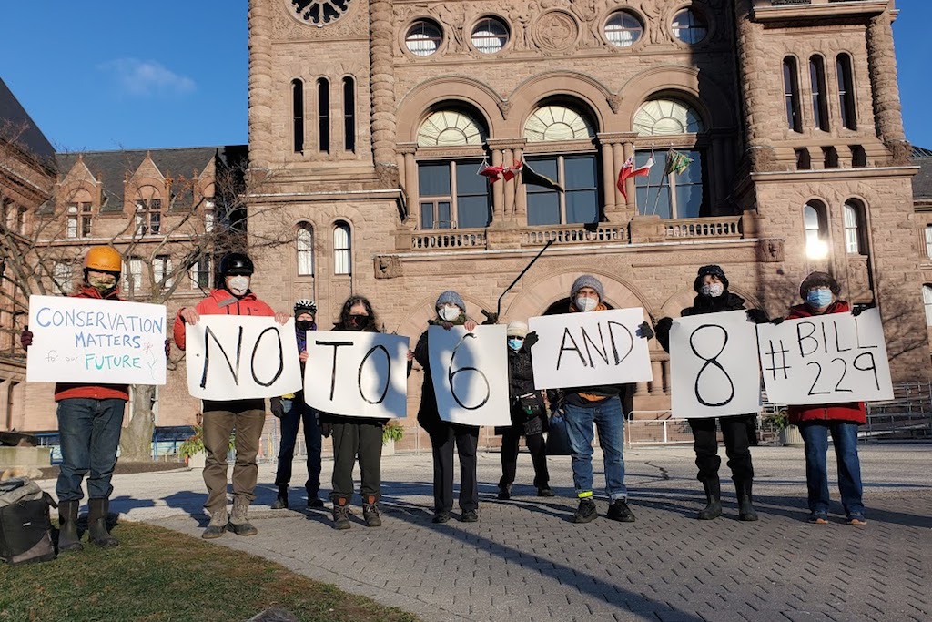 conservation protest