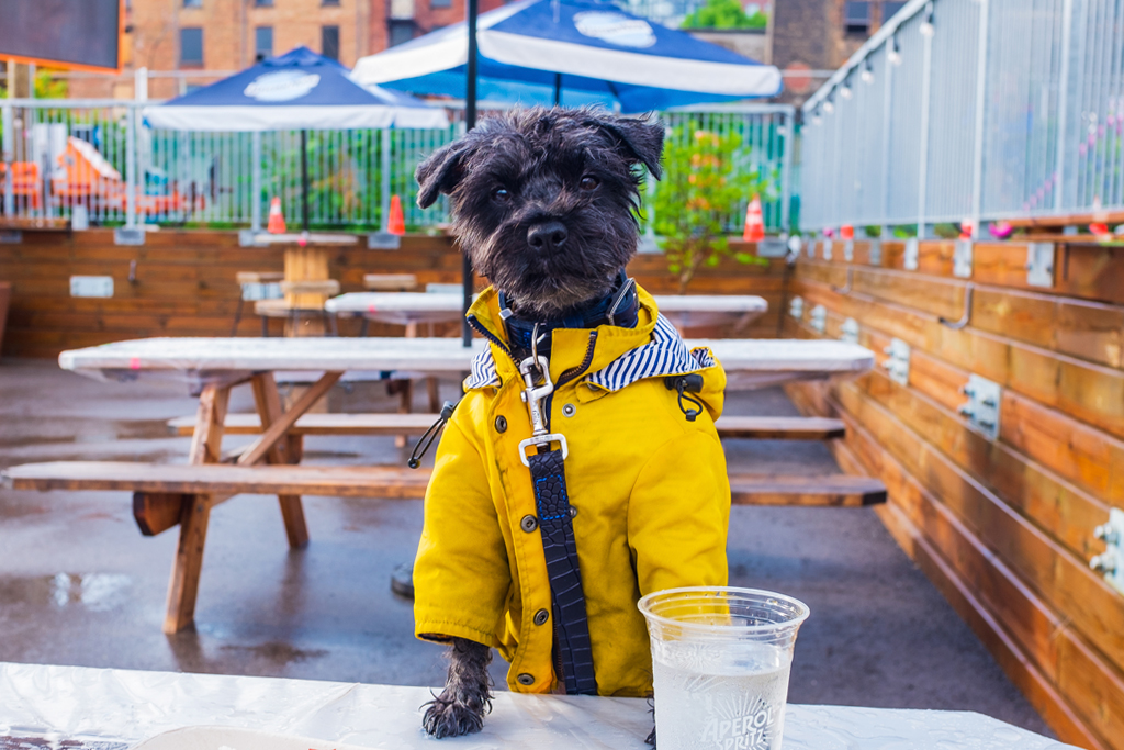 Neighbourhoods guide