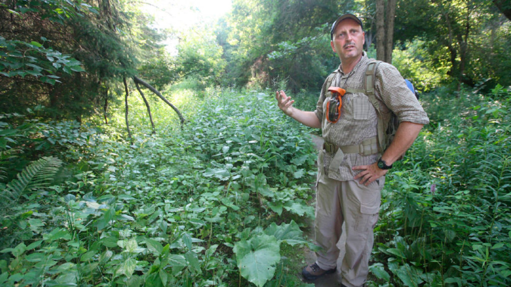 Forage expert David Arama