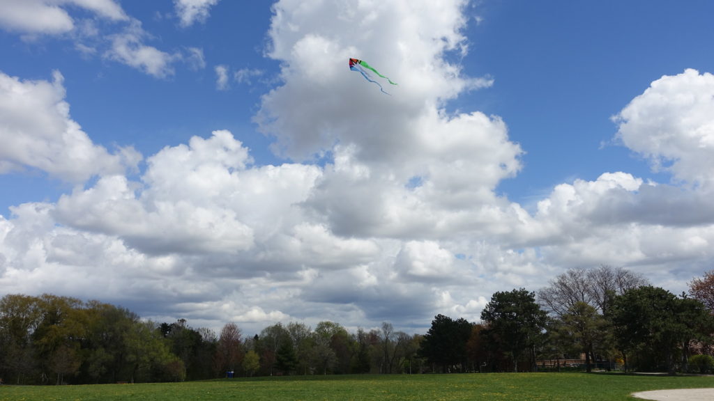 Kite flying in Toronto park
