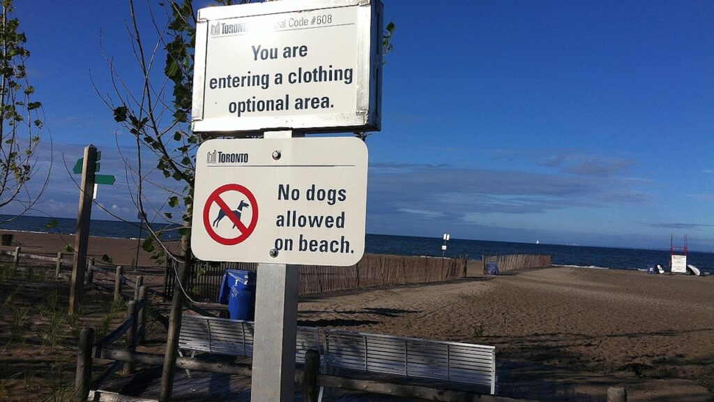 a photo of Harlan's beach in Toronto