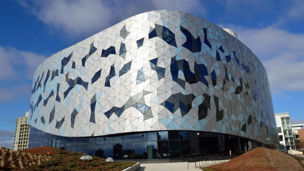 York medical school, school of medicine