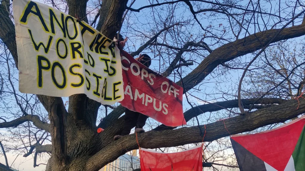 protest signs hang from a tree at the University of Toronto encampment
