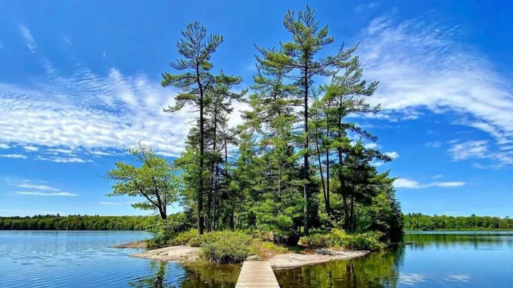 Hardy Lake boardwalk trail in Muskoka
