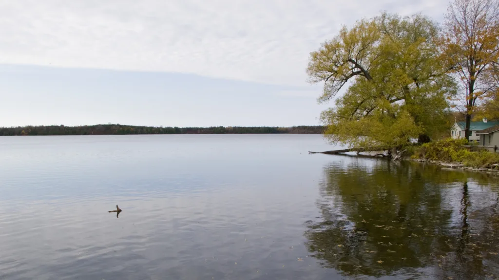 Prince Edward County cottage area