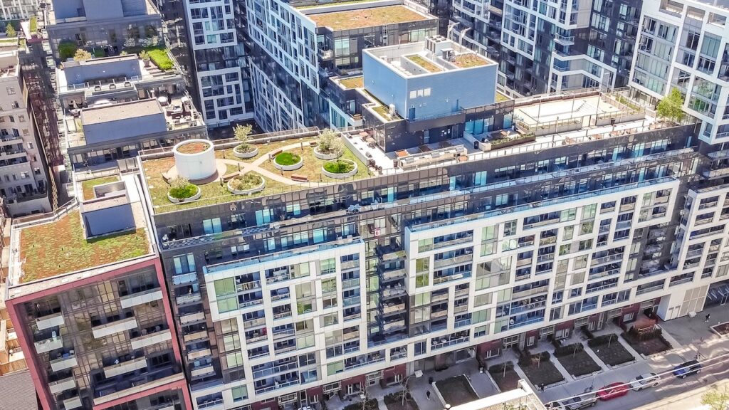 Green roof at 39 Niagara St. in Toronto